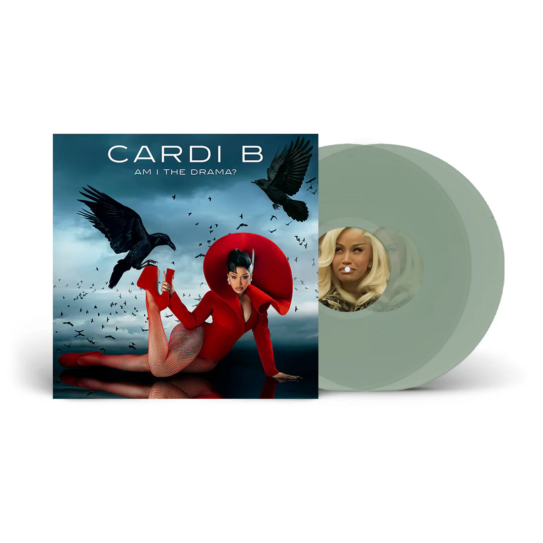 Vinyl Collection